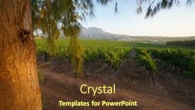  Presentation with south africa - Amazing presentation having stellenbosch-vineyards-south-africa backdrop and a tawny brown colored foreground