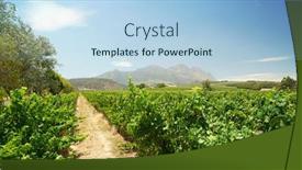  Presentation with south africa - PPT theme having stellenbosch vineyards south africa background and a light blue colored foreground