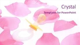  Presentation with pink rose petals on white - Cool new PPT theme with preschool stem - baby's dummy on the rose backdrop and a pink colored foreground
