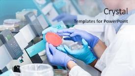  Presentation with lab bacteria - Presentation theme having food contamination - lab technicians analyzing bacteria cultures background and a light blue colored foreground