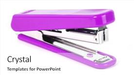  Presentation with dogwood and purple - Slide set with steples - macro of an isolated purple background and a  colored foreground