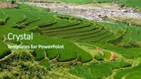  Presentation with rice terraces - Theme consisting of stepped rice patty terraces background and a tawny brown colored foreground