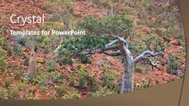  Presentation with island - Slides featuring sterculia-africana-socotra-island-yemen background and a coral colored foreground