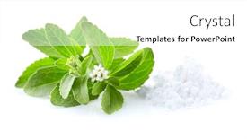 Presentation with powder - Cool new slides with stevia-plant-rebaudiana-with-powder backdrop and a white colored foreground