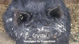  Presentation with mother love - Presentation enhanced with sti - only a mother could love background and a gray colored foreground