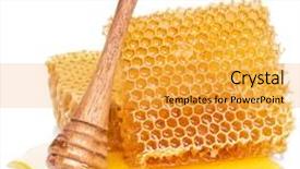  Presentation with wooden stick - Theme featuring stick in the honey puddle background and a yellow colored foreground