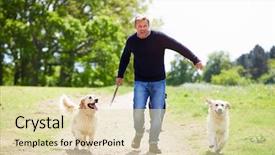  Presentation with dog park dogs plays - Presentation design enhanced with stick men - man exercising dogs on countryside background and a soft green colored foreground