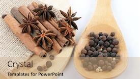  Presentation with cinnamon - Audience pleasing slides consisting of sticks-cinnamon-and-badian-close backdrop and a coral colored foreground