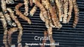  Presentation with area - PPT theme with stigghiola-is-a-typical-dish background and a wine colored foreground