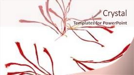  Presentation with food saffron - Amazing presentation having stigmas of saffron close up backdrop and a lemonade colored foreground