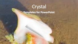  Presentation with storm - Presentation having still after the storm background and a gray colored foreground