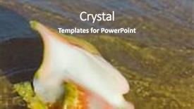  Presentation with storm - Colorful theme enhanced with still after the storm backdrop and a gray colored foreground