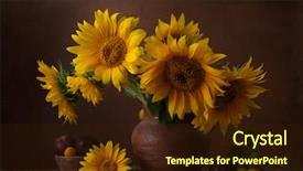  Presentation with clay toys - Audience pleasing PPT theme consisting of still life - bouquet of sunflowers in old backdrop and a wine colored foreground