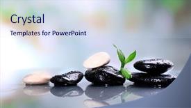  Presentation with spa stones leaves - PPT theme consisting of still life - spa stones with green leaves background and a sky blue colored foreground