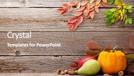  Presentation with autumn leaves - Slides enhanced with still life card with pumpkins background and a coral colored foreground