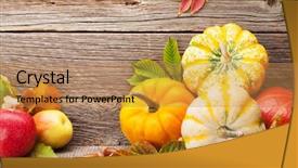  Presentation with end of life care - Amazing slide deck having still life card with pumpkins backdrop and a coral colored foreground