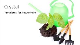  Presentation with sprout - PPT theme enhanced with still- life from sprout and garden tools on a white background gardening background and a white colored foreground