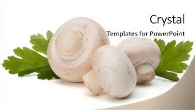  Presentation with herb - Colorful theme enhanced with champignon and parsley herb still life isolated on white background cutout backdrop and a white colored foreground