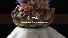  Presentation with balck - Amazing slide deck having still life of an flowering artichoke on a towel draped pedestal and balck background backdrop and a wine colored foreground