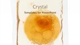  Presentation with beverage - Presentation consisting of still-life-of-fermented-kombucha background and a cream colored foreground