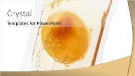  Presentation with beverage - Slides featuring still-life-of-fermented-kombucha background and a white colored foreground