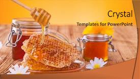  Presentation with honey bee - Slide set having mountain helmos in kalavrita ski background and a light gray colored foreground