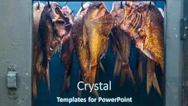  Presentation with fish - PPT layouts enhanced with still-life-of-smoked-fish background and a navy blue colored foreground
