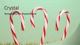  Presentation with candy canes - Beautiful presentation design featuring still life of three upright candy canes in grass backdrop and a soft green colored foreground