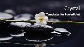  Presentation with cherry blossom - Presentation enhanced with still-life-of-with-cherry background and a wine colored foreground