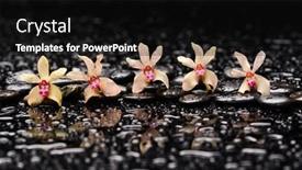  Presentation with black yellow - PPT theme consisting of still-life-of-with-five background and a black colored foreground