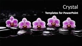  Presentation with zen stones - Presentation enhanced with still-life-of-with-five background and a black colored foreground