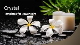  Presentation with green life - Slide deck consisting of still-life-of-with-frangipani background and a black colored foreground