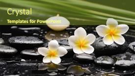  Presentation with green life - Presentation with still-life-of-with-frangipani background and a tawny brown colored foreground