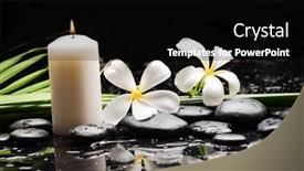  Presentation with green life - Presentation design enhanced with still-life-of-with-frangipani background and a black colored foreground