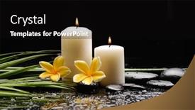  Presentation with green life - Amazing slide set having still-life-of-with-green backdrop and a black colored foreground