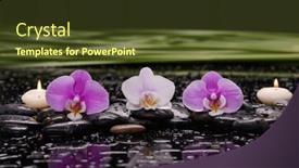  Presentation with green life - Theme enhanced with still-life-of-with-lying background and a tawny brown colored foreground