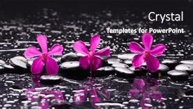  Presentation with zen - Slide deck enhanced with still-life-of-with-lying background and a black colored foreground