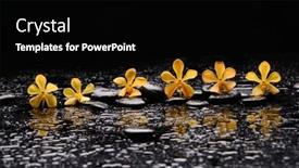  Presentation with black-yellow - Slides enhanced with still-life-of-with-lying and a black colored foreground