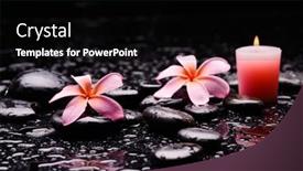  Presentation with pink black - Slide set with still-life-of-with-pink background and a black colored foreground