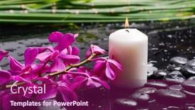  Presentation with green life - PPT theme enhanced with still-life-of-with-pink background and a violet colored foreground