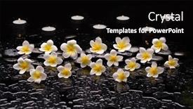  Presentation with zen - Cool new theme with still-life-of-with-set backdrop and a black colored foreground