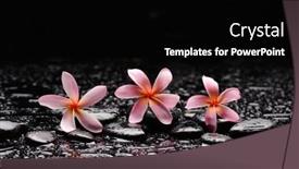  Presentation with zen stones - Presentation design consisting of still-life-of-with-three background and a black colored foreground