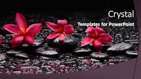  Presentation with zen stones - Slides having still-life-of-with-three background and a black colored foreground