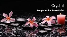  Presentation with zen - Slide deck featuring still-life-of-with-three background and a black colored foreground