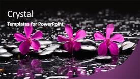  Presentation with zen stones - Slide deck enhanced with still-life-of-with-three background and a black colored foreground