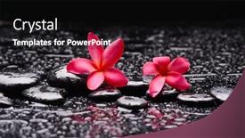  Presentation with zen stones - PPT theme consisting of still-life-of-with-two background and a black colored foreground