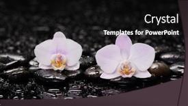  Presentation with zen stones - PPT layouts with still-life-of-with-two background and a black colored foreground