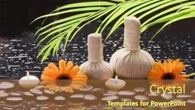  Presentation with green life - PPT theme enhanced with still-life-of-with-two background and a  colored foreground