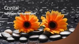  Presentation with black yellow - Slide deck consisting of still-life-of-with-two background and a  colored foreground