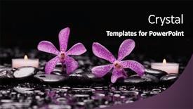  Presentation with zen - Slide set enhanced with still-life-of-with-two background and a black colored foreground